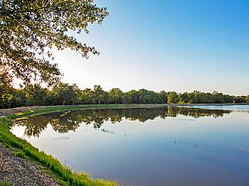 New Custom Homesites Now Available